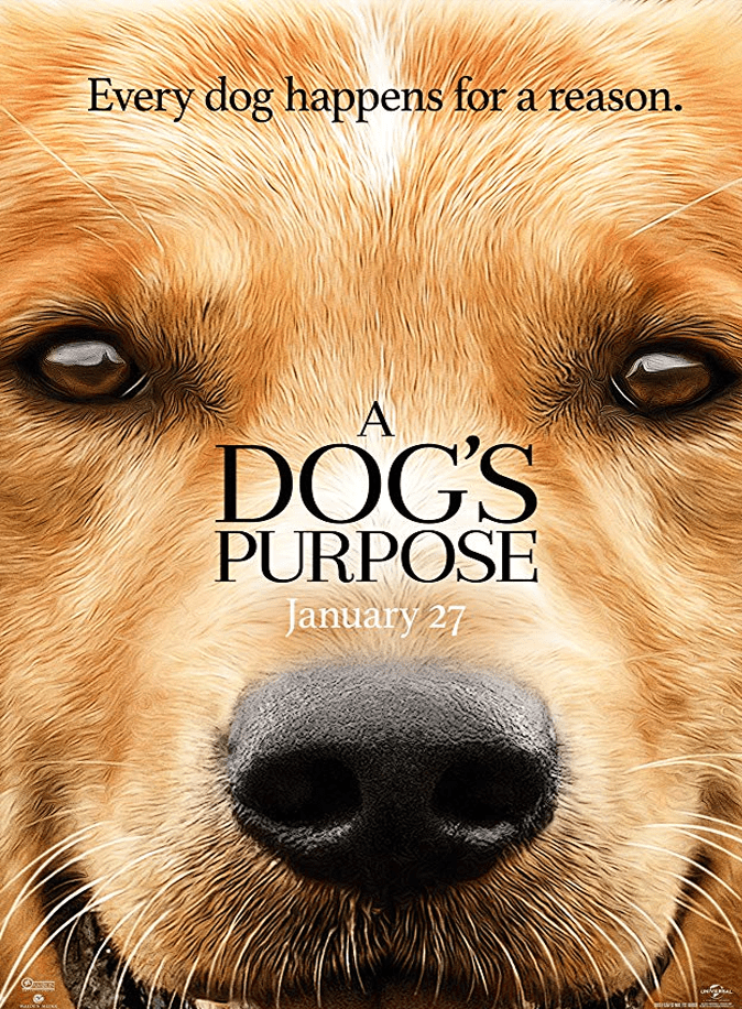 A DOGS PURPOSE